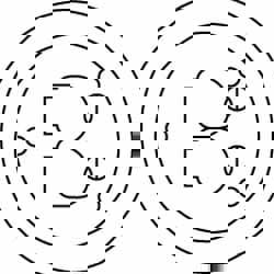 Round Electrical Box Cover: Brass